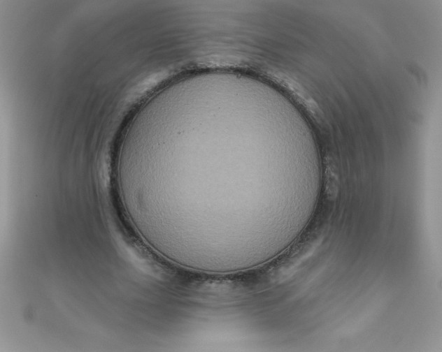 X0000111000631200907022137