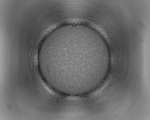 X0000111000633200907022137