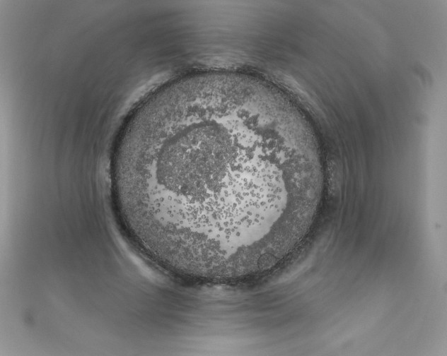 X0000111000634200907022137