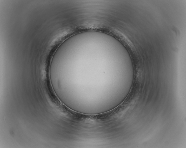 X0000111000635200907022137