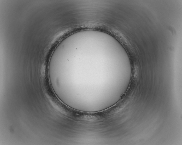 X0000111000636200907022138