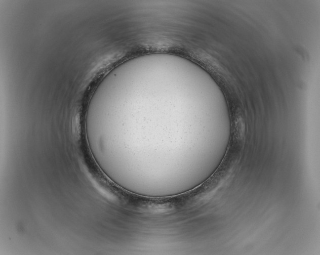 X0000111000638200907022138