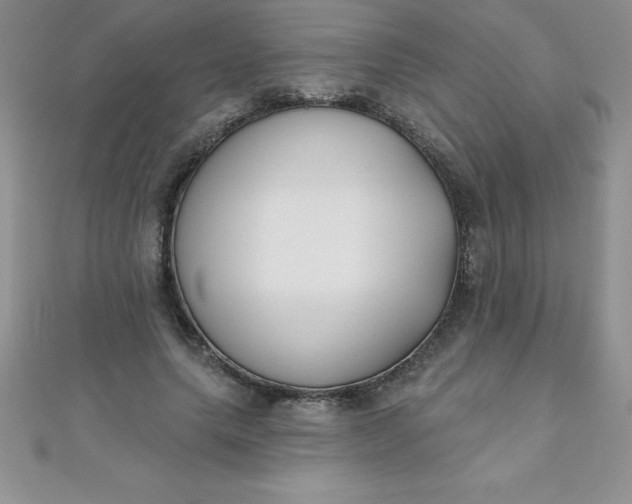 X0000111000639200907022138