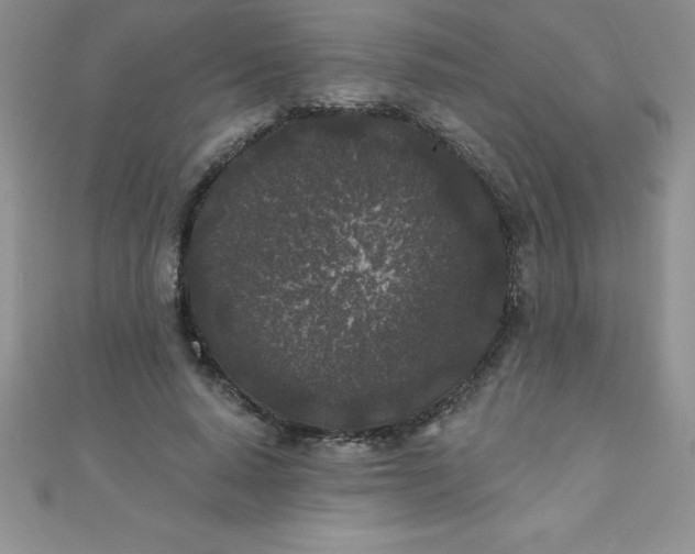 X0000111000640200907022138