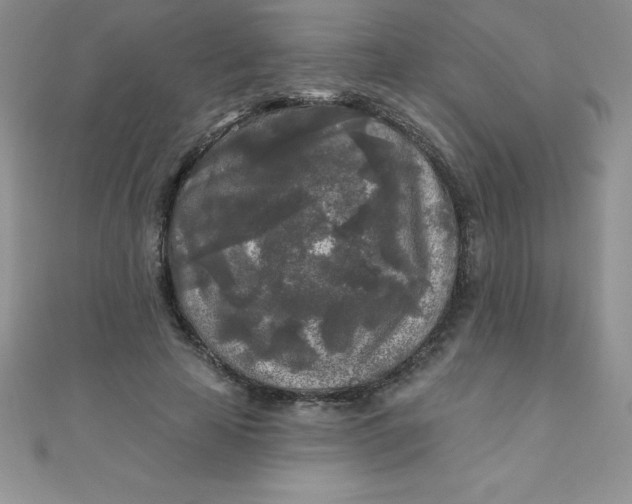 X0000111000641200907022138