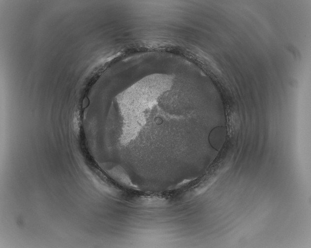 X0000111000644200907022138