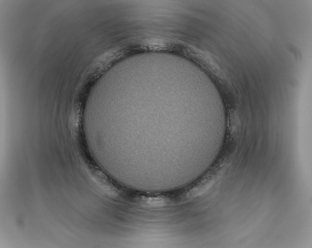 X0000111000645200907022138