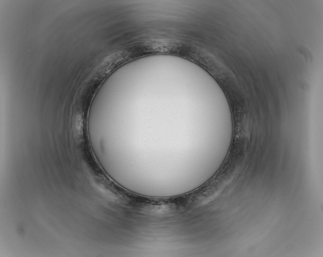 X0000111000646200907022138