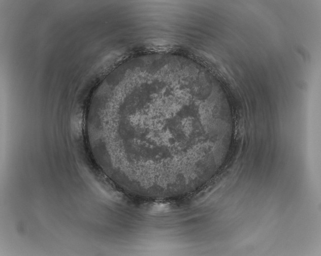 X0000111000647200907022138