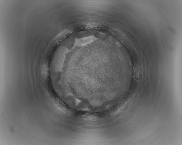 X0000111000648200907022138