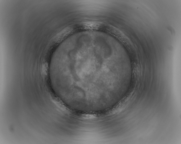 X0000111000649200907022138