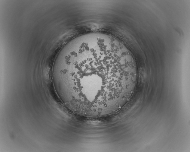 X0000111000650200907022138