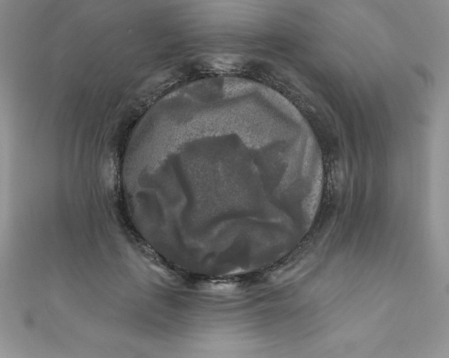 X0000111000651200907022138