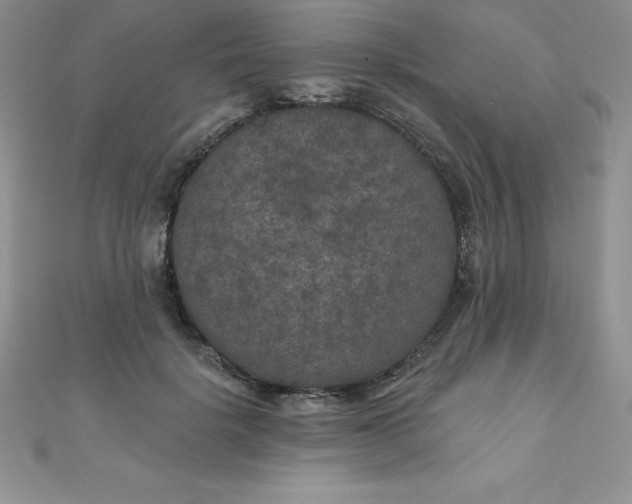 X0000111000652200907022138