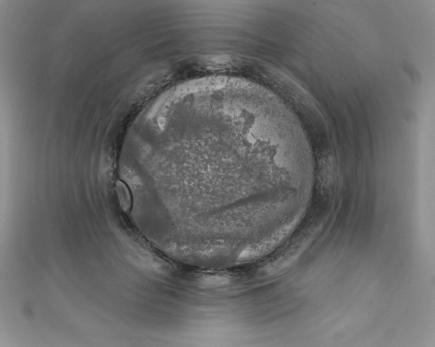 X0000111000653200907022138