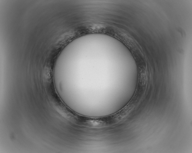 X0000111000654200907022138