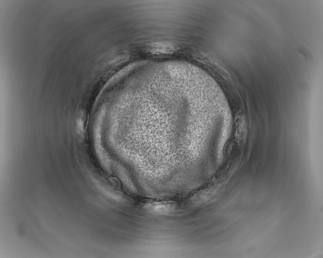 X0000111000655200907022138