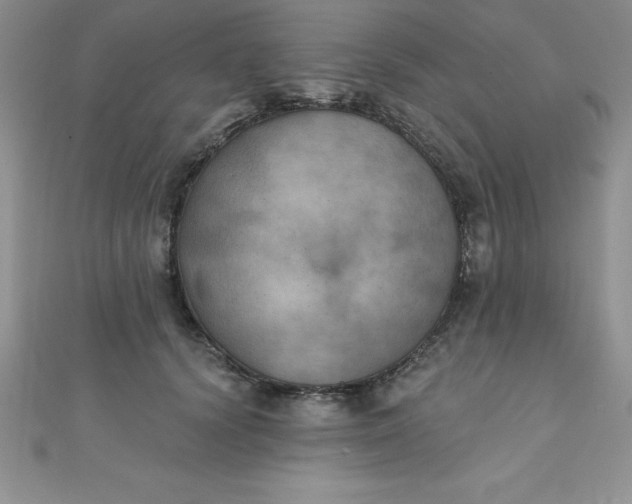 X0000111000656200907022138