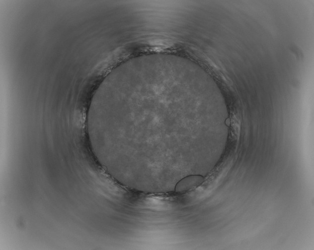 X0000111000657200907022138