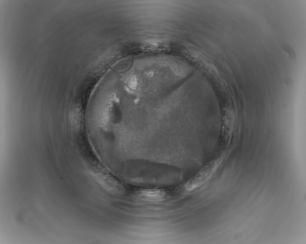 X0000111000659200907022138