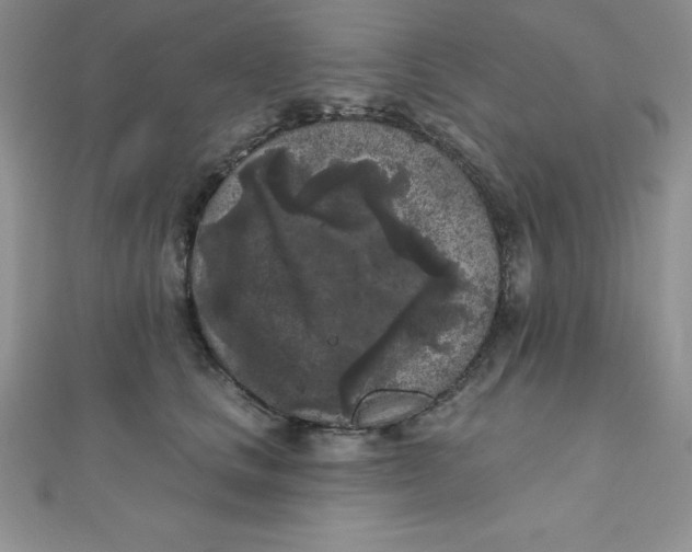 X0000111000661200907022138