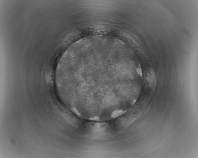 X0000111000663200907022138