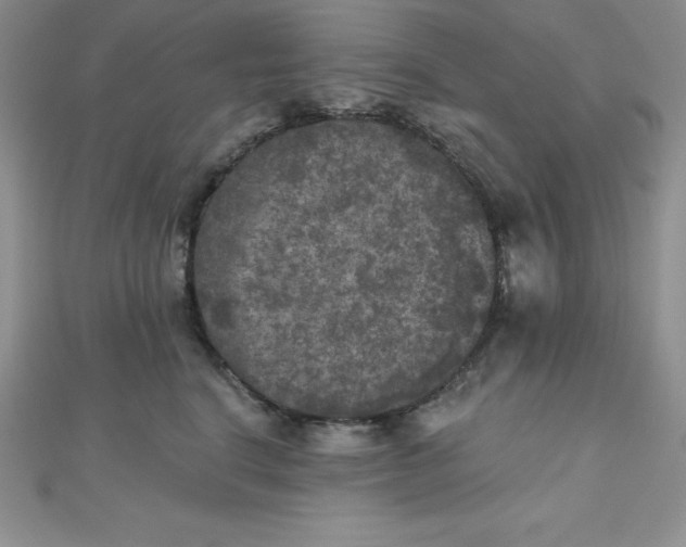 X0000111000664200907022138