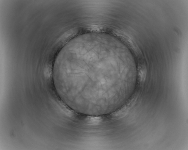 X0000111000665200907022138