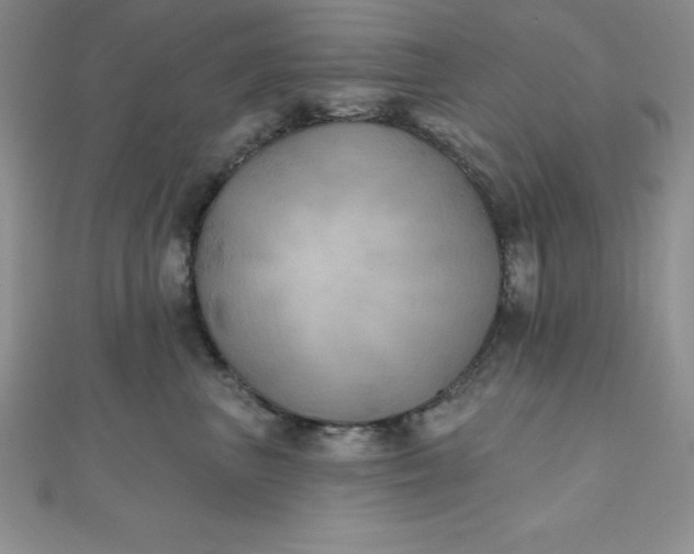 X0000111000667200907022138