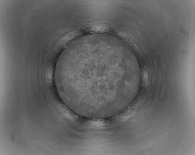 X0000111000668200907022138