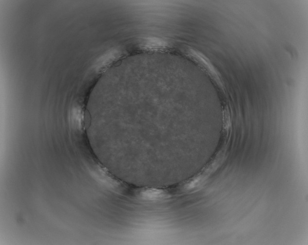 X0000111000669200907022138