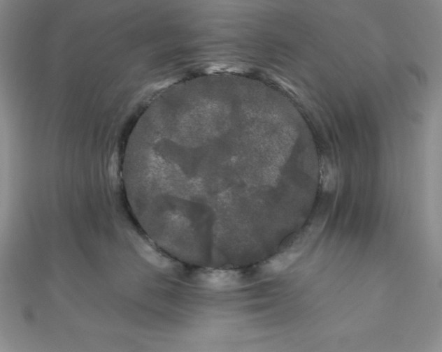 X0000111000670200907022138