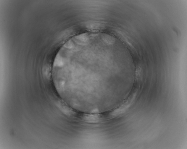 X0000111000671200907022138