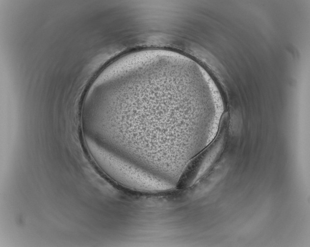 X0000111000673200907022137