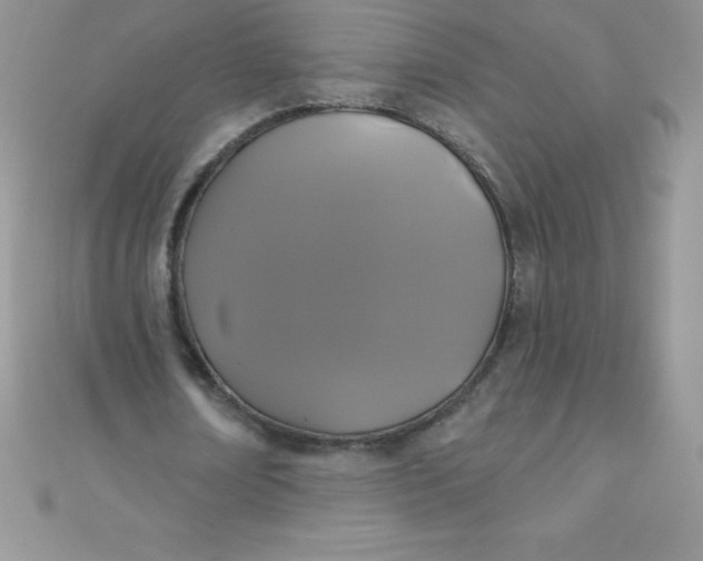 X0000111000674200907022137