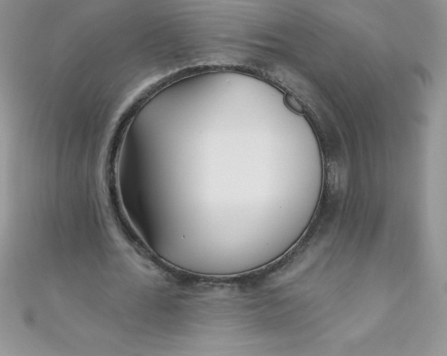 X0000111000676200907022137