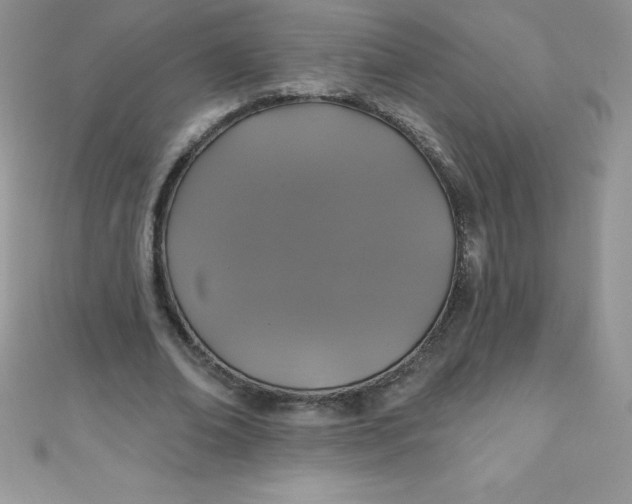 X0000111000678200907022137