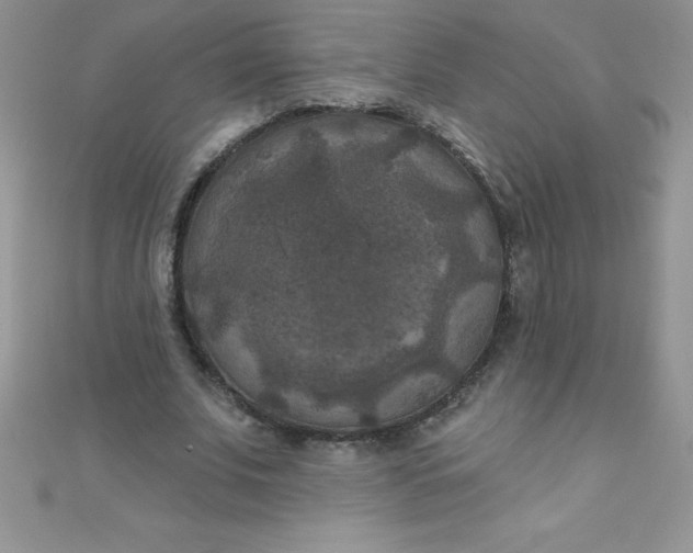 X0000111000679200907022137