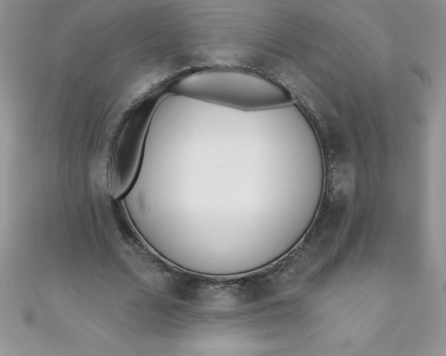 X0000111000680200907022137