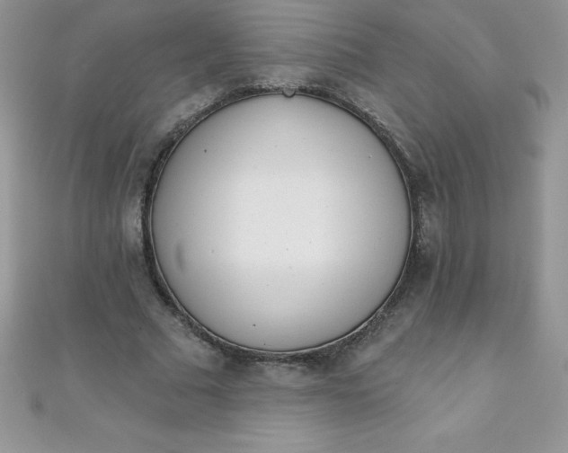 X0000111000681200907022137