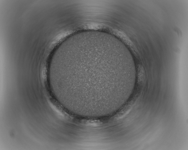 X0000111000683200907022137