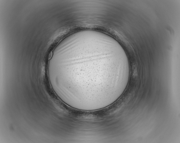 X0000111000685200907022137