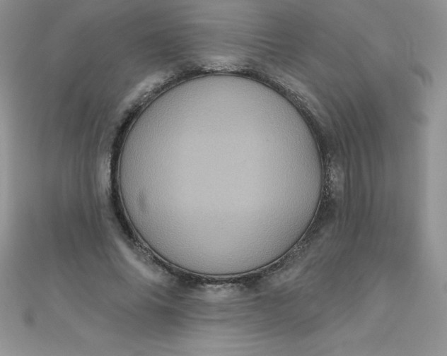 X0000111000686200907022137