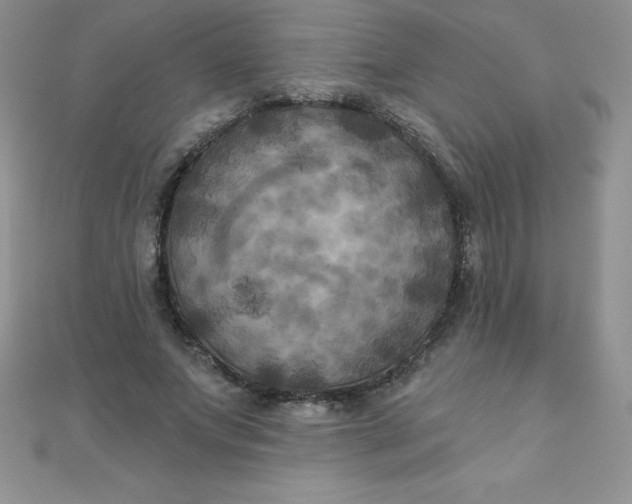 X0000111000687200907022137