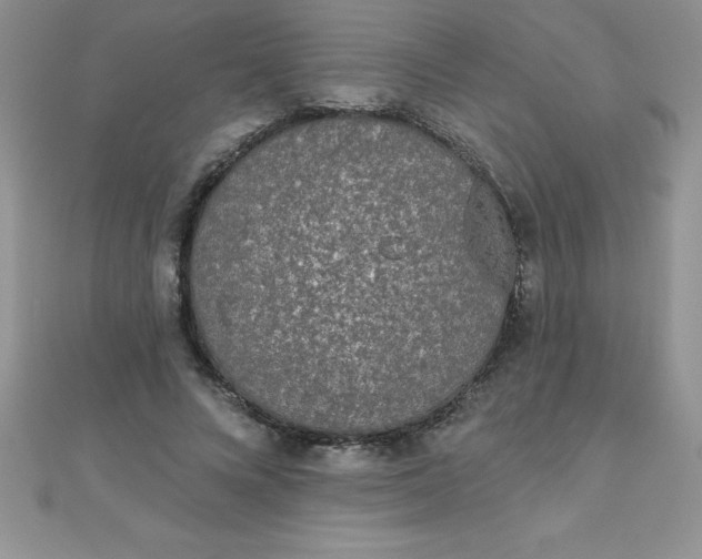 X0000111000688200907022137