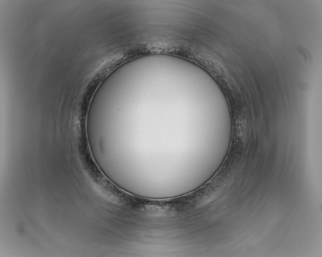 X0000111000690200907022137