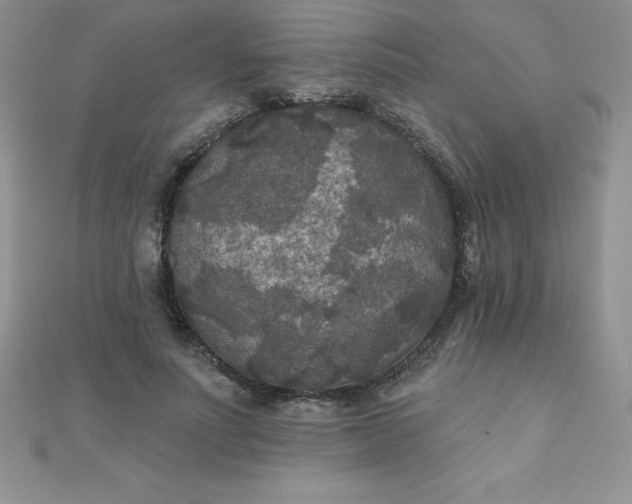 X0000111000691200907022137