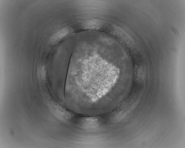 X0000111000692200907022137