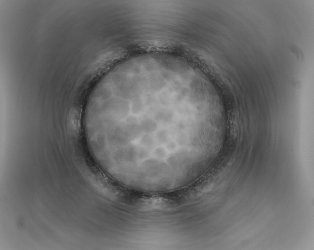 X0000111000695200907022137