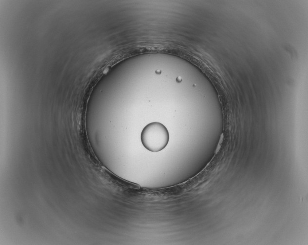 X0000111000697200907022137